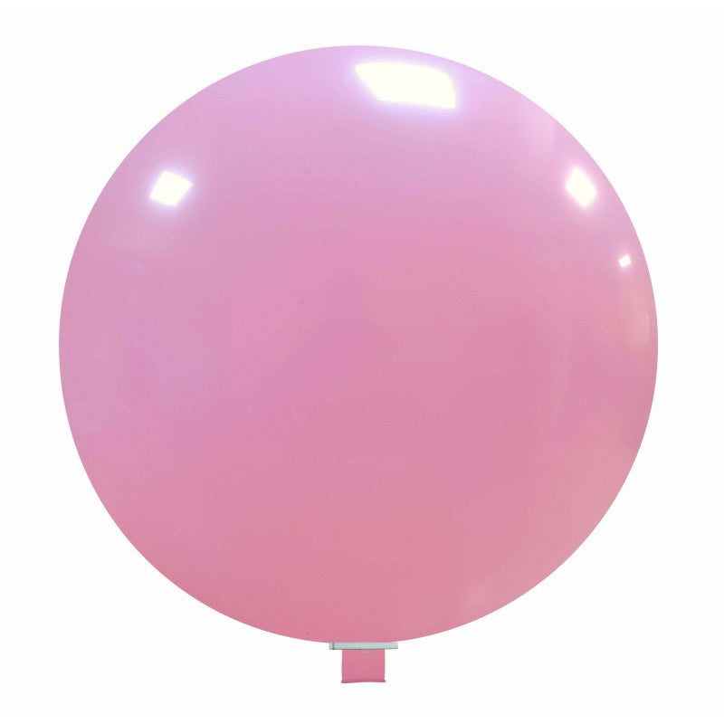 Cattex 43