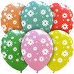 Cattex 12