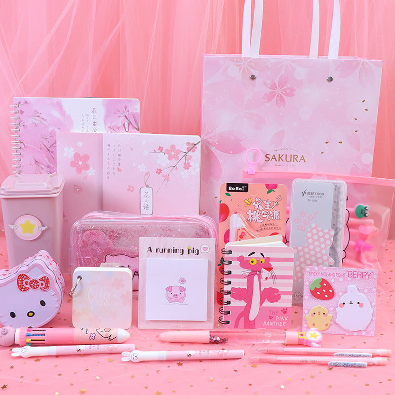 Girls' Pink Stationery Gift Set – Back to School Supplies Box for Elementary & Middle School