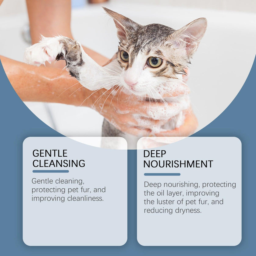 Moisturizing Pet Shampoo for Dogs & Cats – Coconut Oil & Milk Formula (100ml)