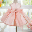 Elegant Princess Birthday girl dress Party dress flower girl dress