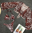 Women's Bikini Swimsuit Set – Padded Two-Piece in Blue, Green, Pink & Leopard (S–L)