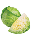 Cabbage