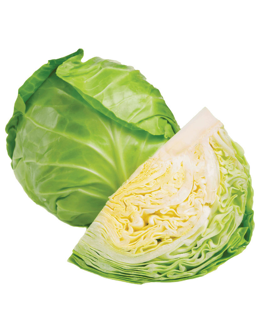 Cabbage