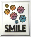 Sue Wilson Dies - Perspectives Collection - Smile