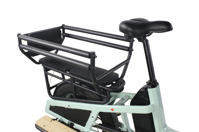 Care-Go Cargo Long-Tail 500W eBike (CG3) | 32 Km/hr Top Speed | 150 Km Range