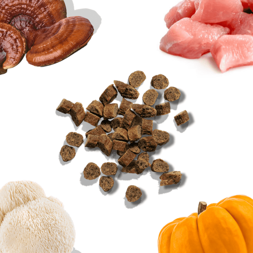 Chicken Mini Training Treats
