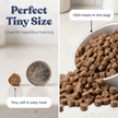 Beef Mini Training Treats