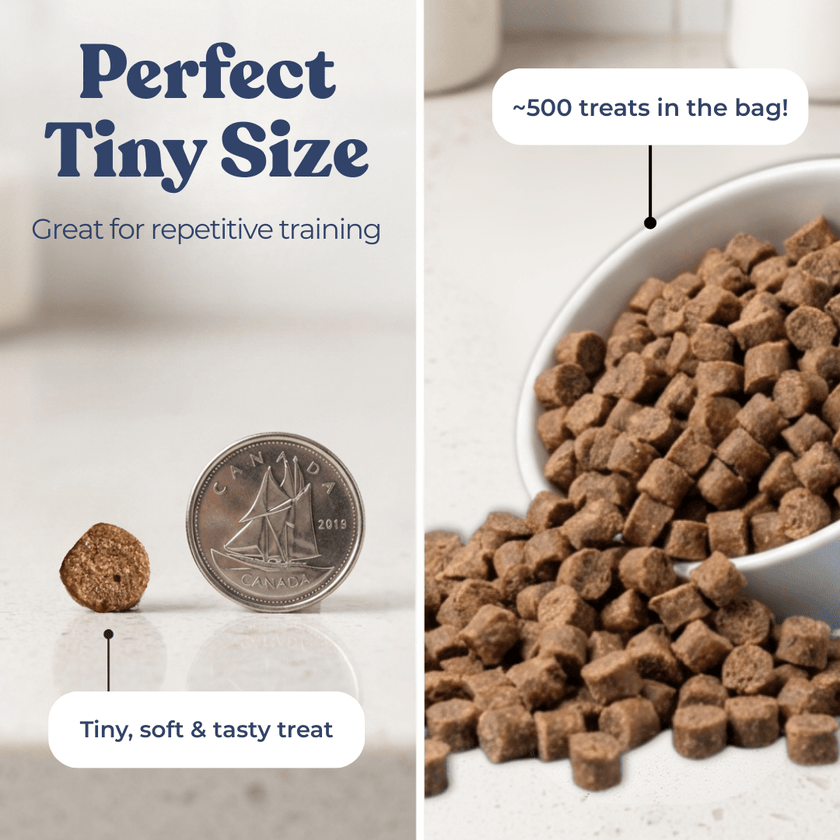 Beef Mini Training Treats
