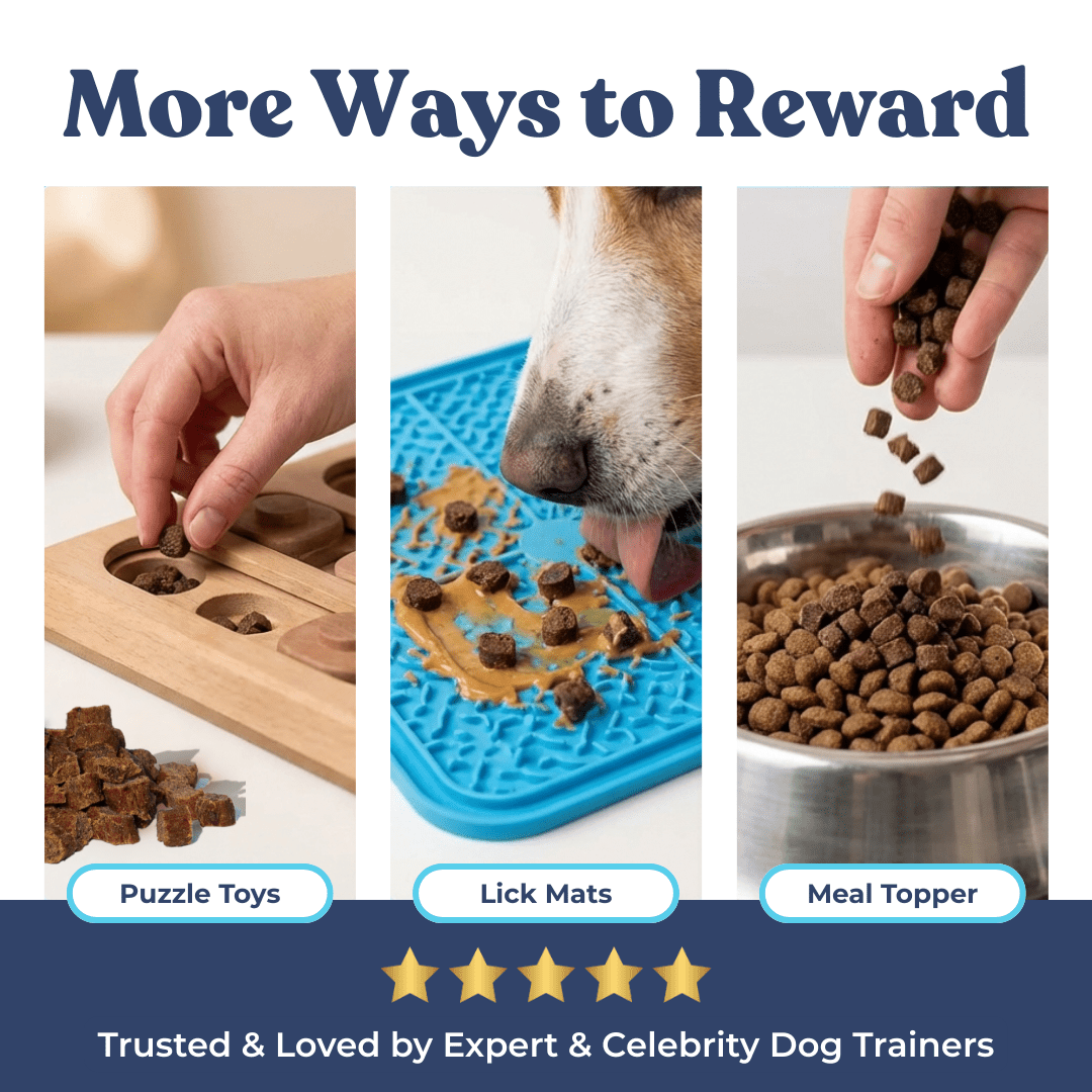 Chicken Mini Training Treats