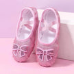 Children's Dance Soft Bottom Training Shoes Kids Ballet Shoes