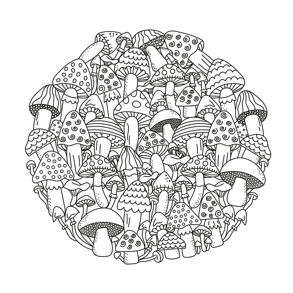 Cute and Playful Patterns Coloring Book (Spiral Edition)