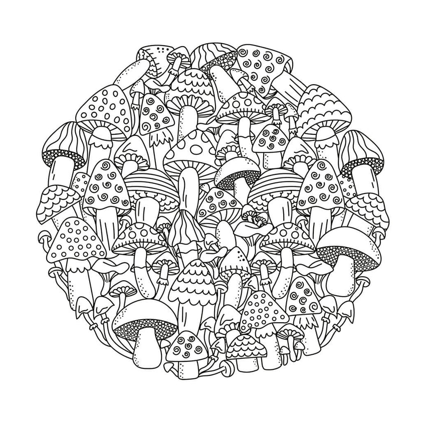 Cute and Playful Patterns Coloring Book (Spiral Edition)