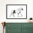 Cob Gypsy Horse - Black and white large wall art