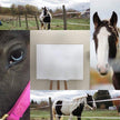 Cob Gypsy Horse - Black and white large wall art
