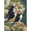 Cobble Hill - Quai des pêcheurs (Jigsaw Puzzle 500 pièces)