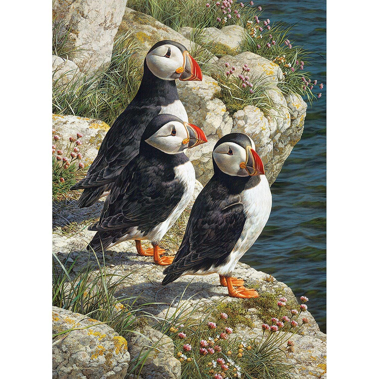 Cobble Hill - Quai des pêcheurs (Jigsaw Puzzle 500 pièces)