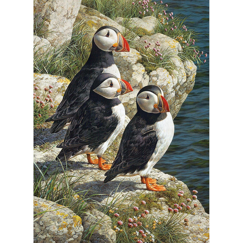 Cobble Hill - Quai des pêcheurs (Jigsaw Puzzle 500 pièces)