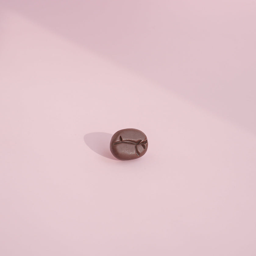 Coffee Bean Brooch