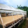 Coffee - Colombia - Excelso Gran Galope - Cauca - 454g - Wholebean