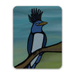 Vinyl Sticker - Coiffed