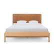 Colin Top-Grain Leather Bed