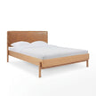 Colin Top-Grain Leather Bed