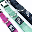 Collier chien réfléchissant turquoise