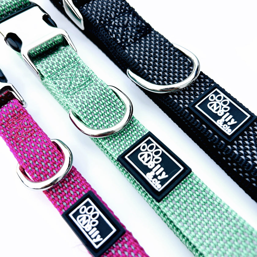 Collier chien réfléchissant rose