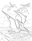 Dinosaur Coloring Book (Spiral Edition)