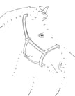 Horse Activity Book for Kids Ages 6-8 (Spiral Edition)