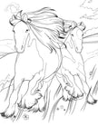 Horse Coloring Book (Spiral Edition)