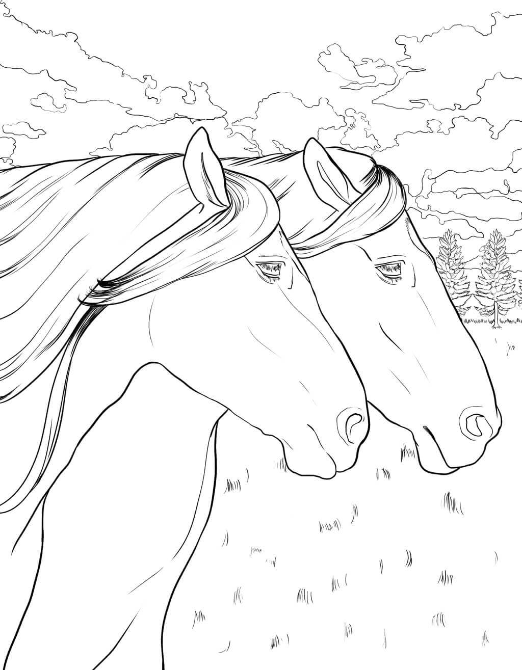 Horse Coloring Book (Spiral Edition)