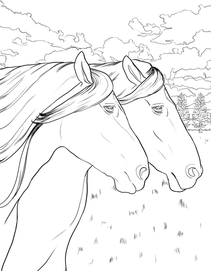 Horse Coloring Book (Spiral Edition)