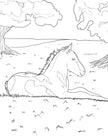 Horse Activity Book for Kids Ages 6-8 (Spiral Edition)