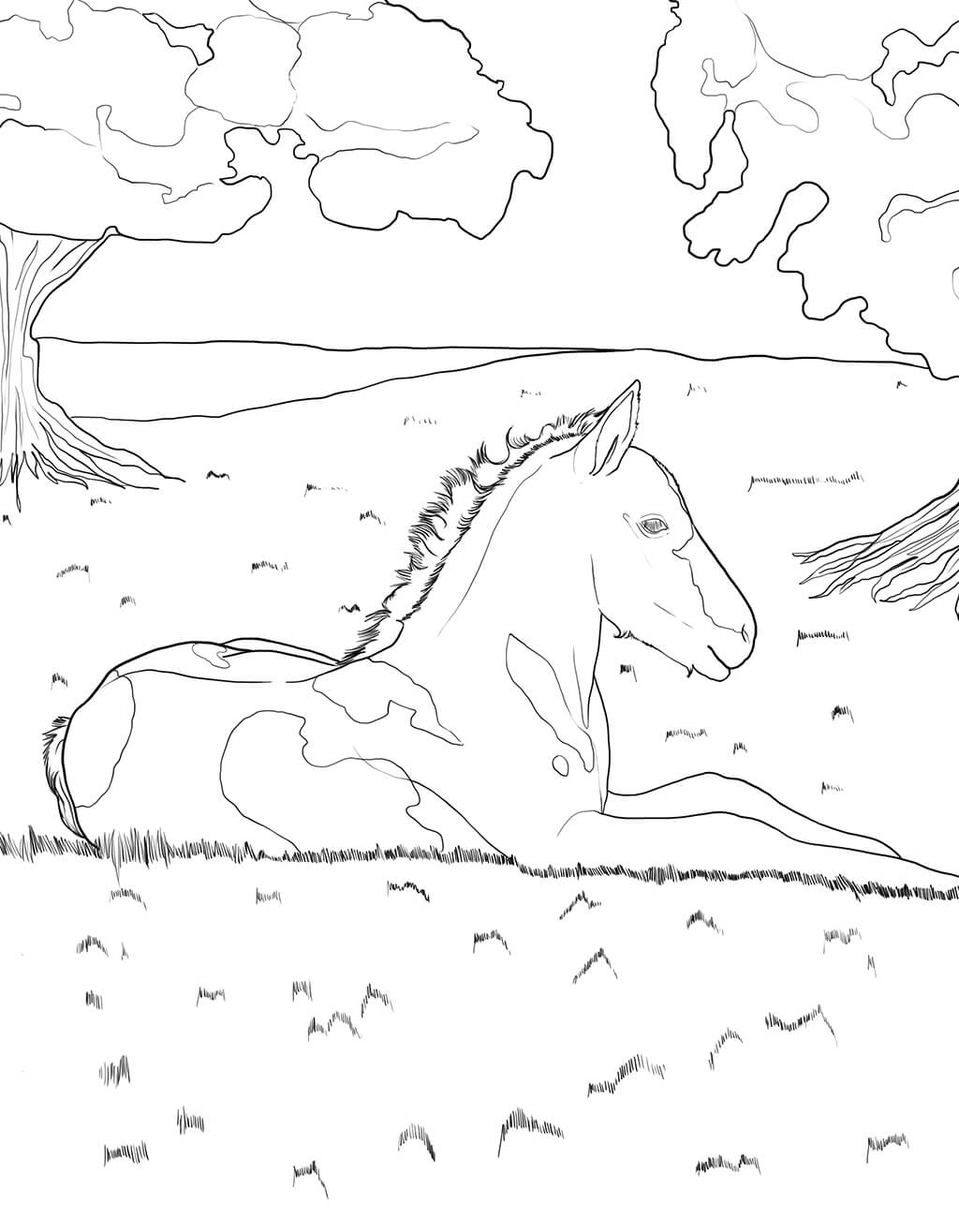 Horse Activity Book for Kids Ages 6-8 (Spiral Edition)