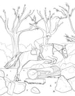 Horse Coloring Book (Spiral Edition)