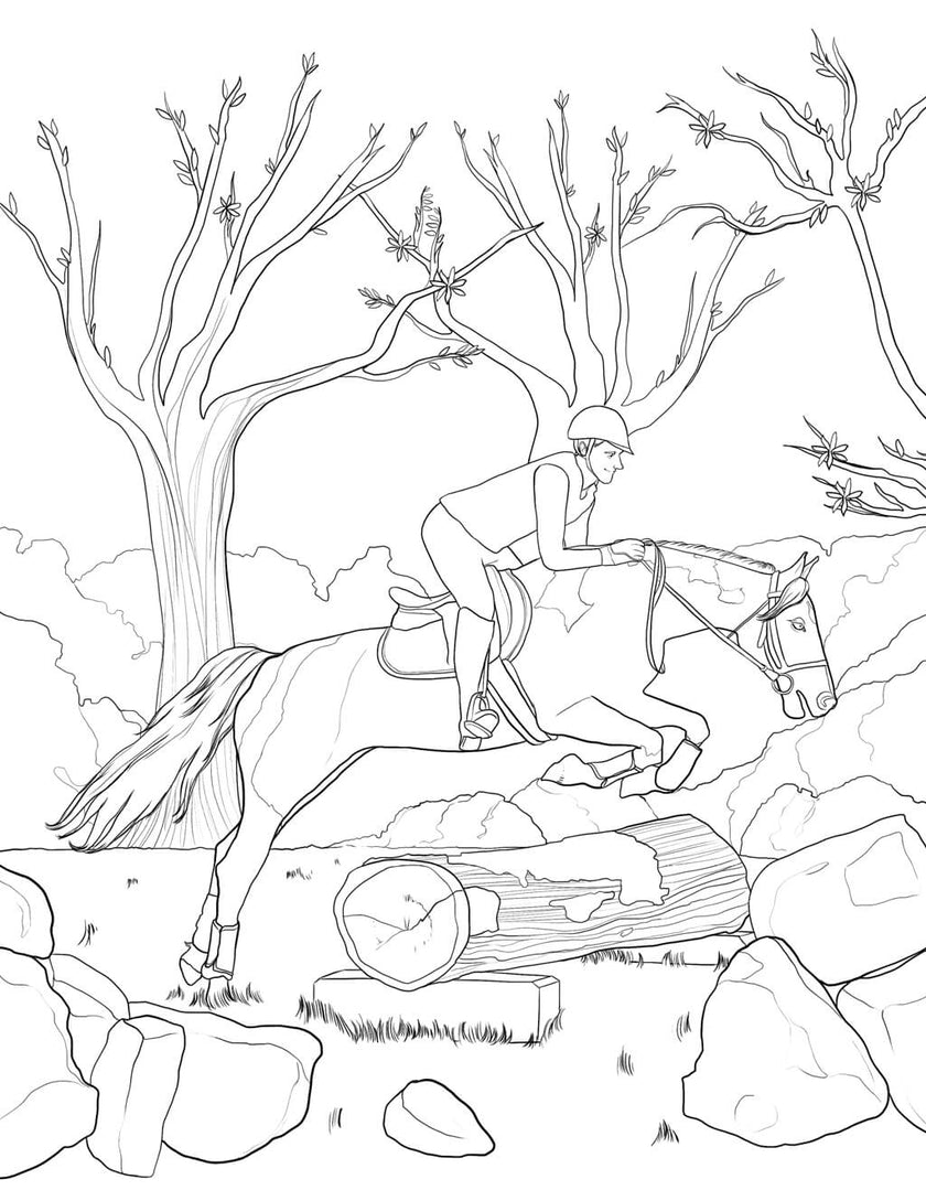 Horse Coloring Book (Spiral Edition)