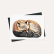 Fox sleeping - curled in ball - greeting card