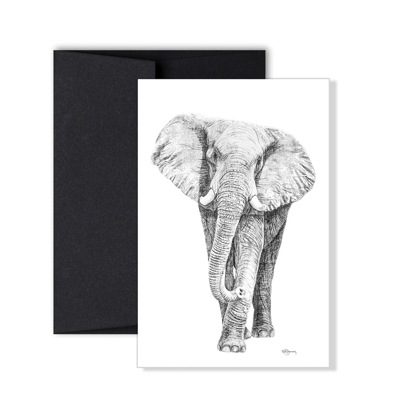 Complete Zoo Greeting Card Collection