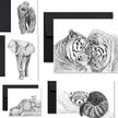 Complete Zoo Greeting Card Collection