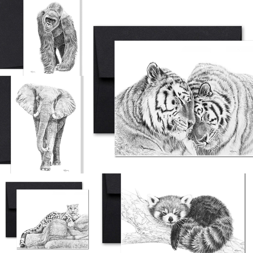 Complete Zoo Greeting Card Collection