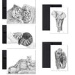 Complete Zoo Greeting Card Collection