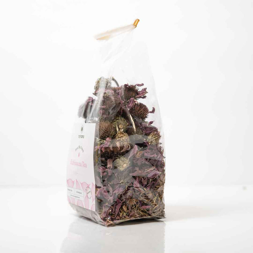 Echinacea Herbal Tea - Coneflower