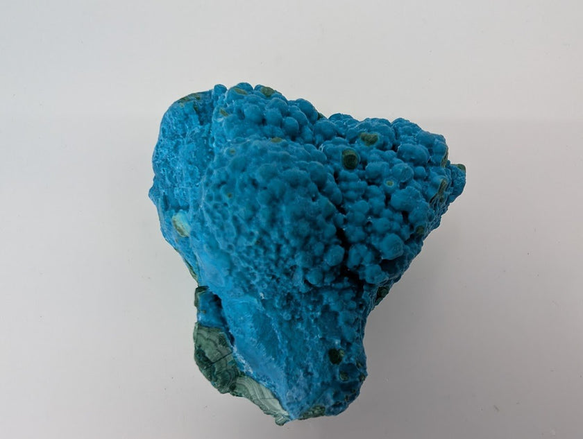 Congo Chrysocolla with Malachite – Botryoidal Specimen with Exposed Veins & Growth Rings (434g)