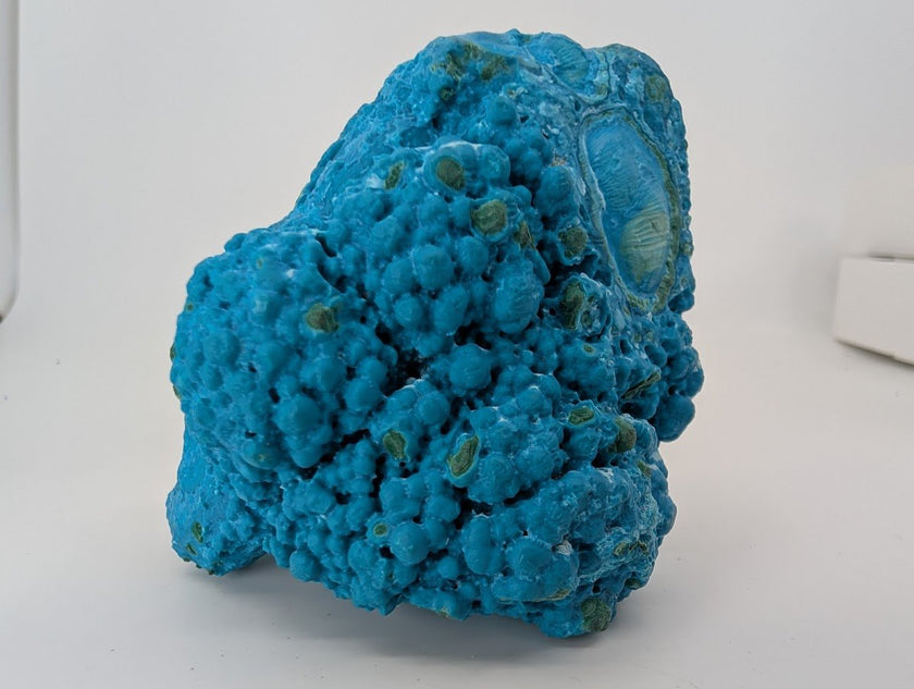 Congo Chrysocolla with Malachite – Botryoidal Specimen with Exposed Veins & Growth Rings (434g)