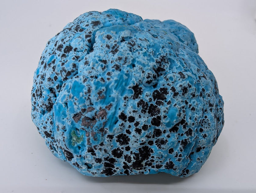 Congo Chrysocolla with Malachite – Botryoidal Specimen with Natural Base (363g)