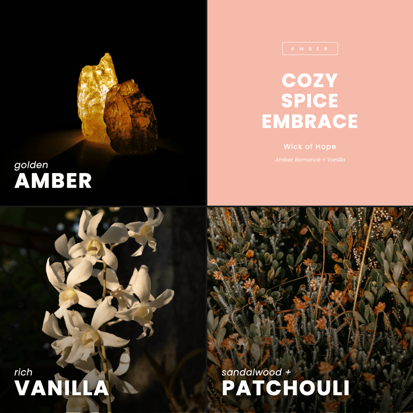 Cozy Spice Embrace Candle | Amber Romance + Vanilla