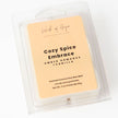 Cozy Spice Embrace Wax Melt | Amber Romance + Vanilla
