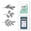 Evergreen Branches Press Plate from the BetterPress Christmas Collection